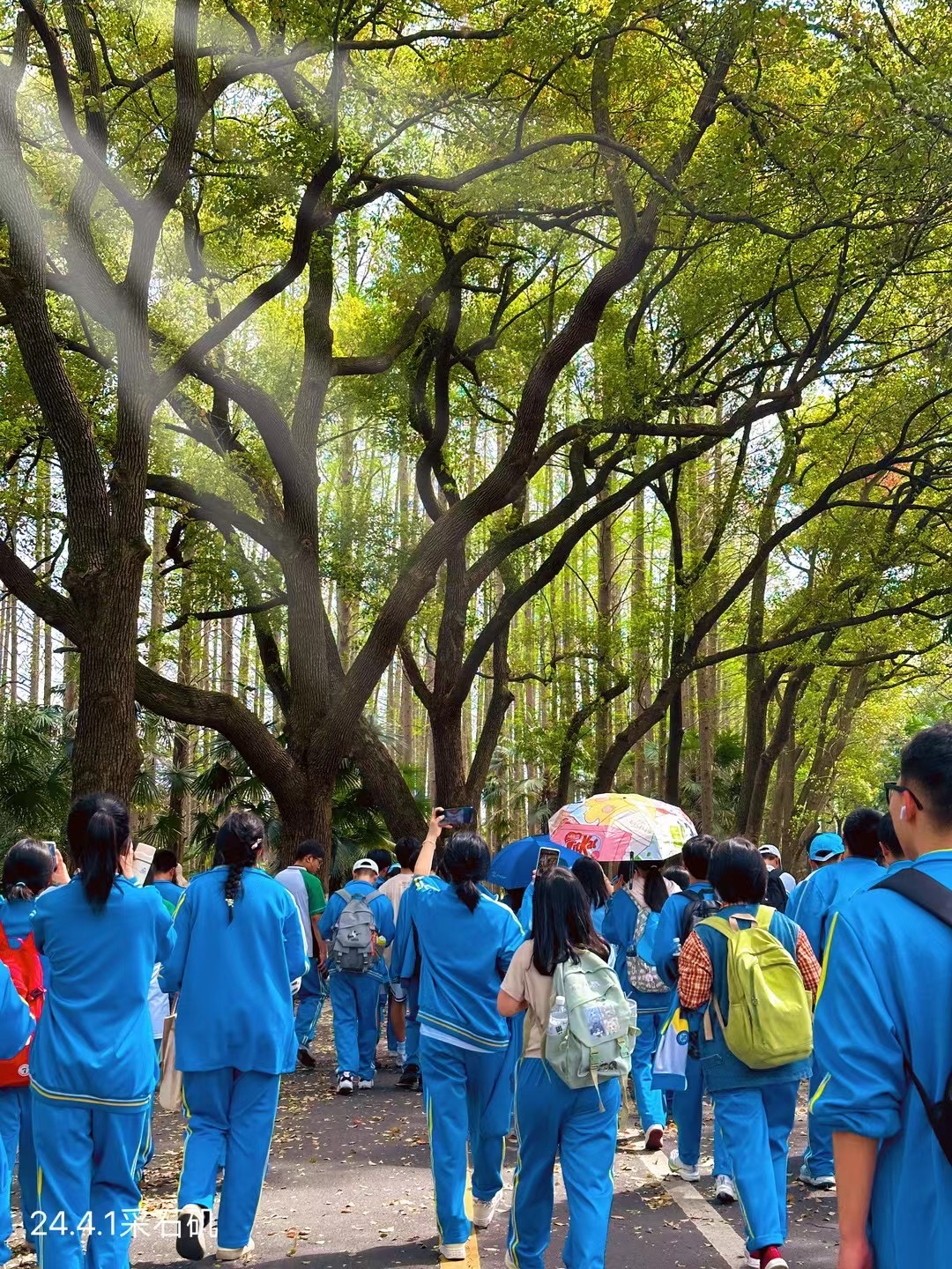 研学旅行助成长 最美课堂在路上——合肥卓越中学高一师生研学记