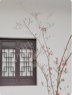 QQ20260704-075723.png QQ20260704-075723.png